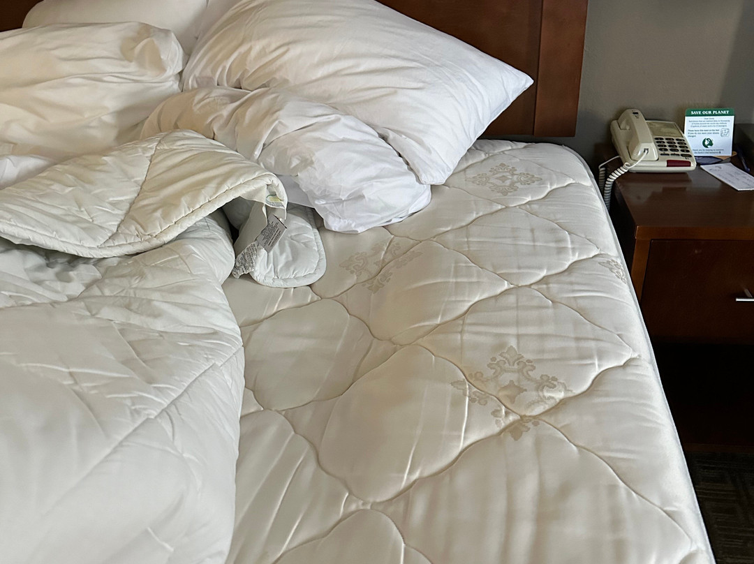 Comfort Inn & Suites Leeds I-20主图