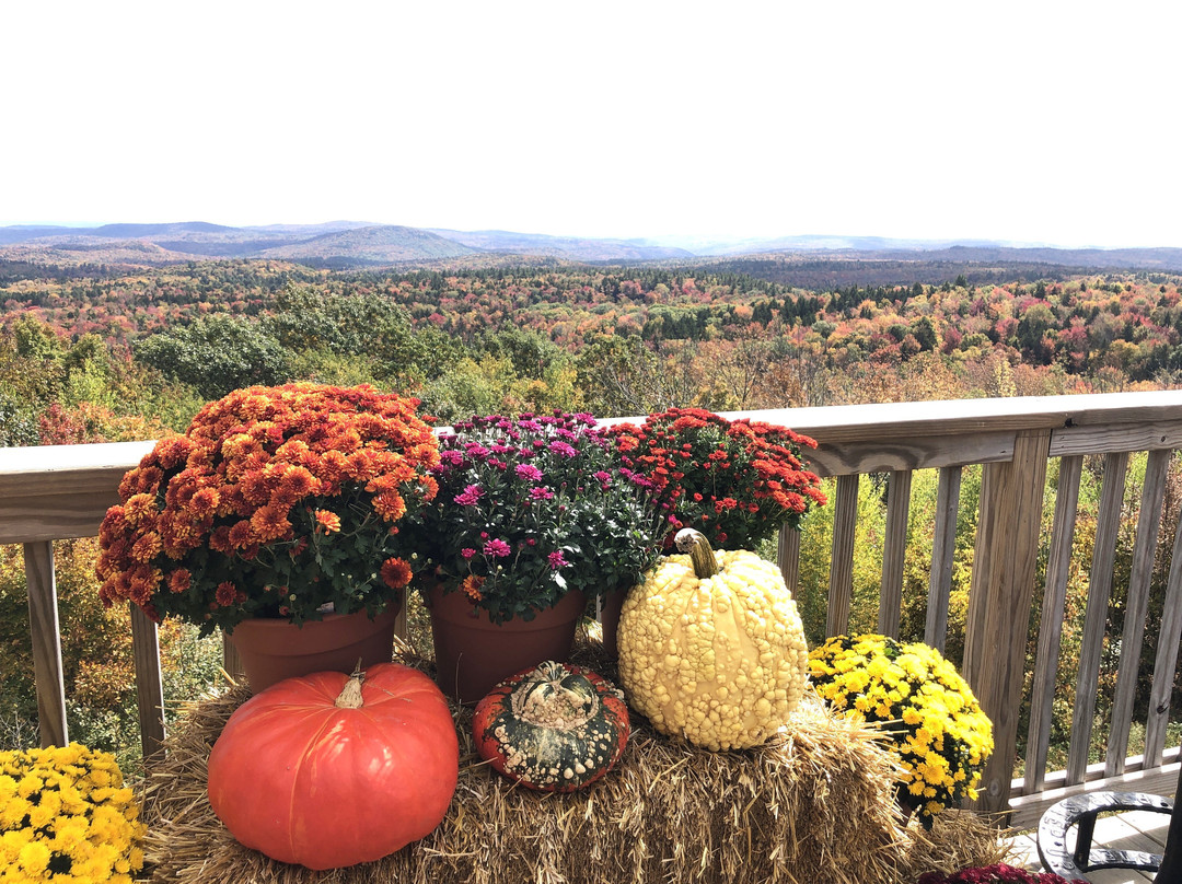 Hogback Mountain Gift Shop-Wilmington必去景点