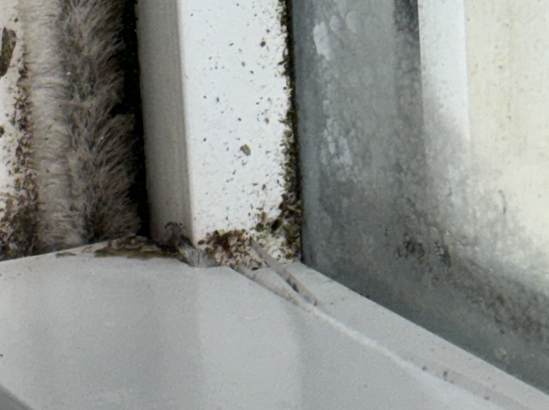 The Wandlyn Inn主图