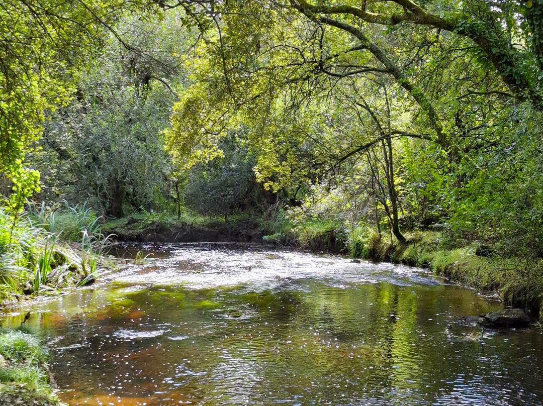 Promenades Et Randonnées À Nostang-Nostang必去景点