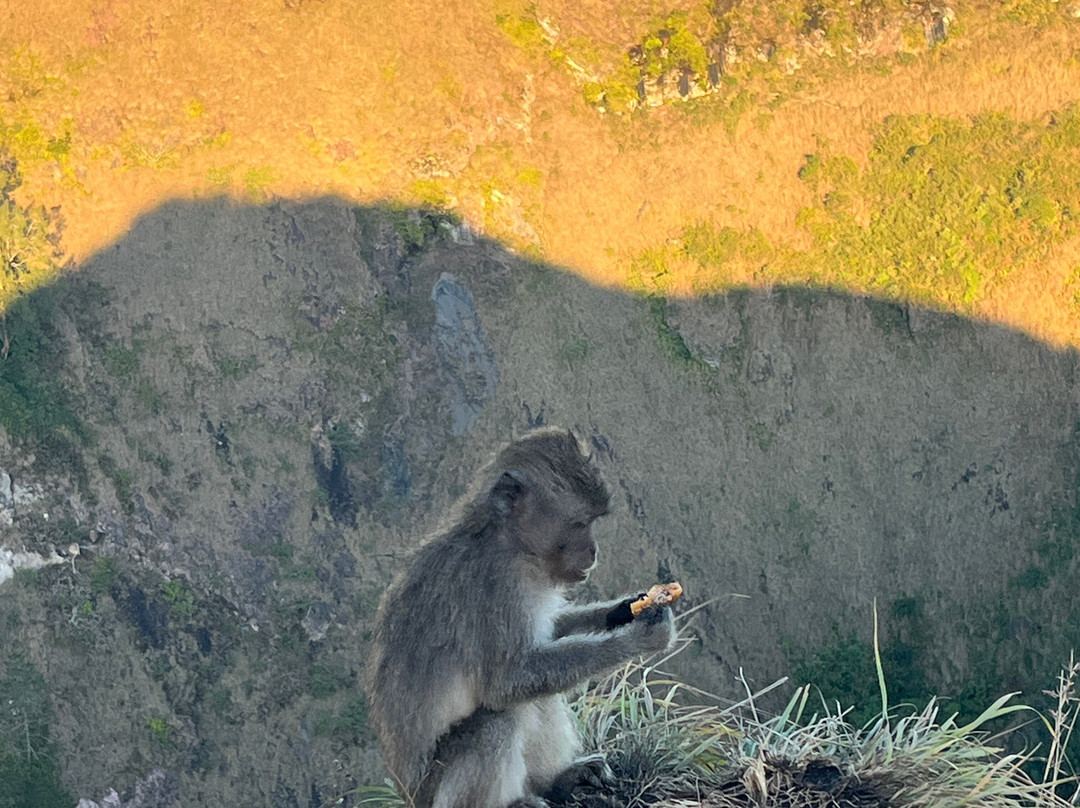 Mount Batur Sunrise Tour-金塔马尼必去景点