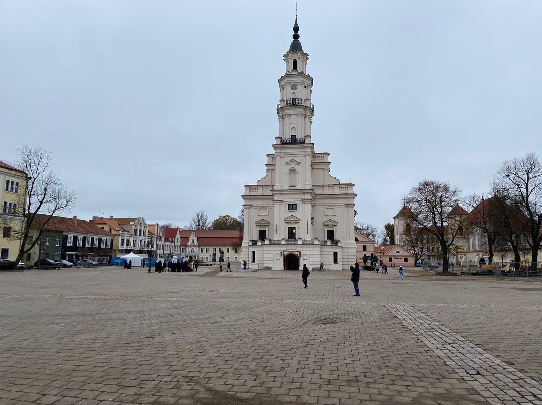 Kaunas Town Hall-考那斯必去景点