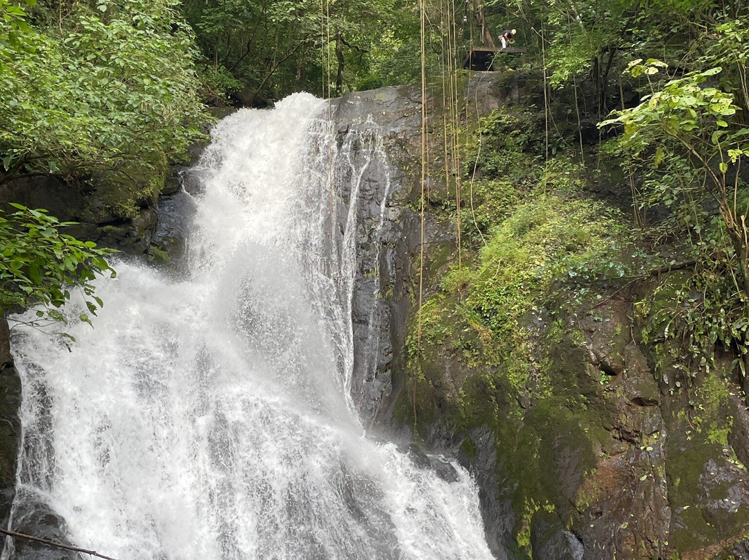 Adventure Park & Hotel Vista Golfo主图