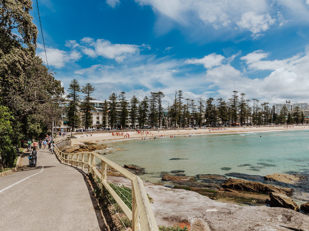 Manly Bikes and Manly Bike Tours景点图片