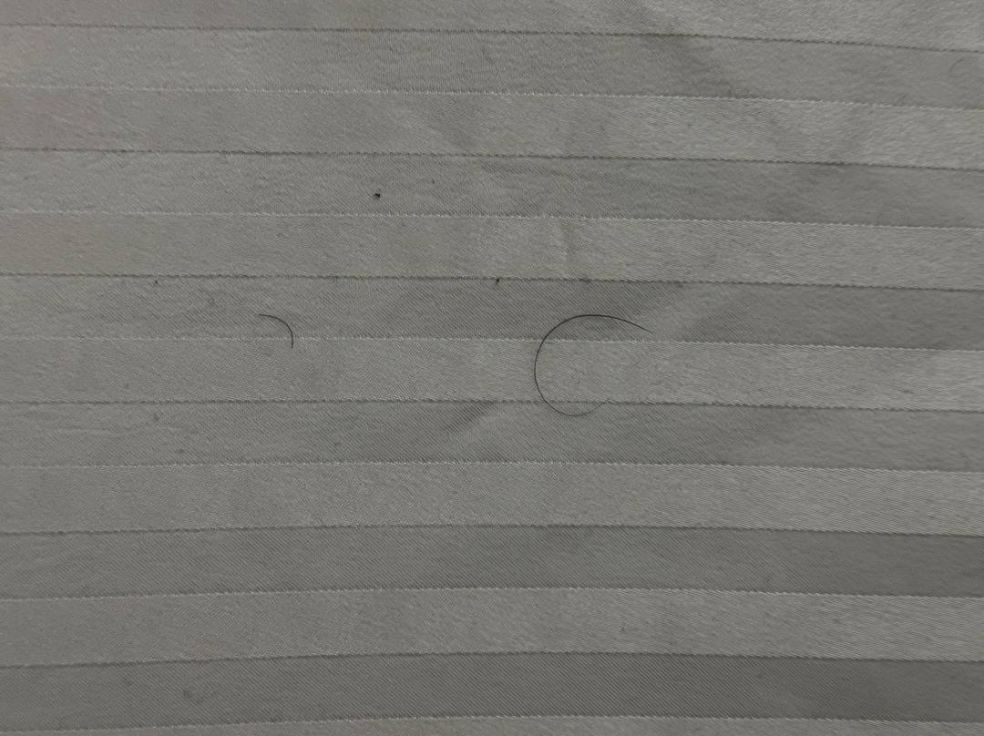 Best Western Milton Inn主图