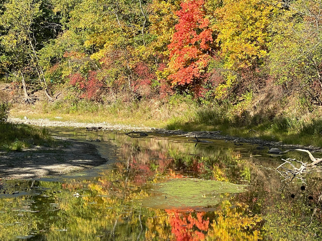 Humiston Woods Nature Center-Pontiac必去景点