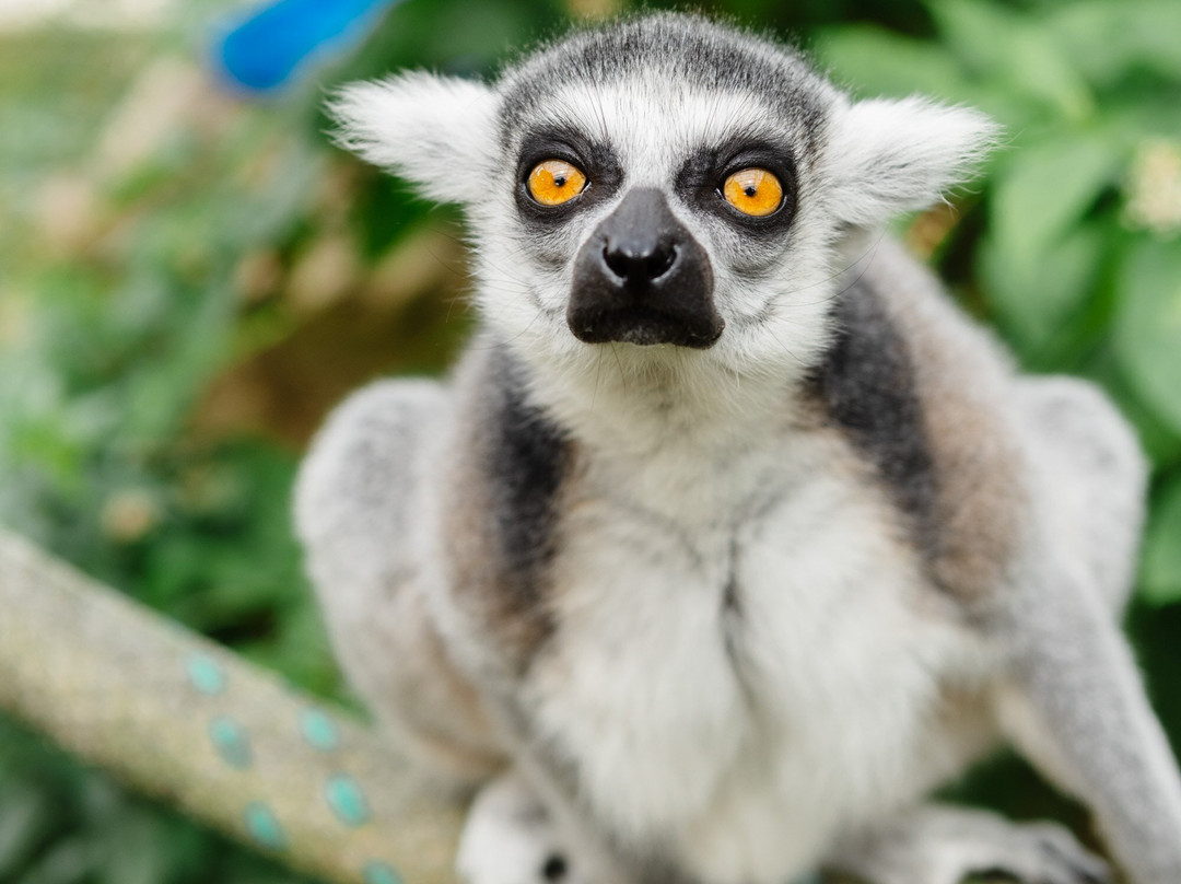 1661 Farm & Garden-新肖勒姆必去景点