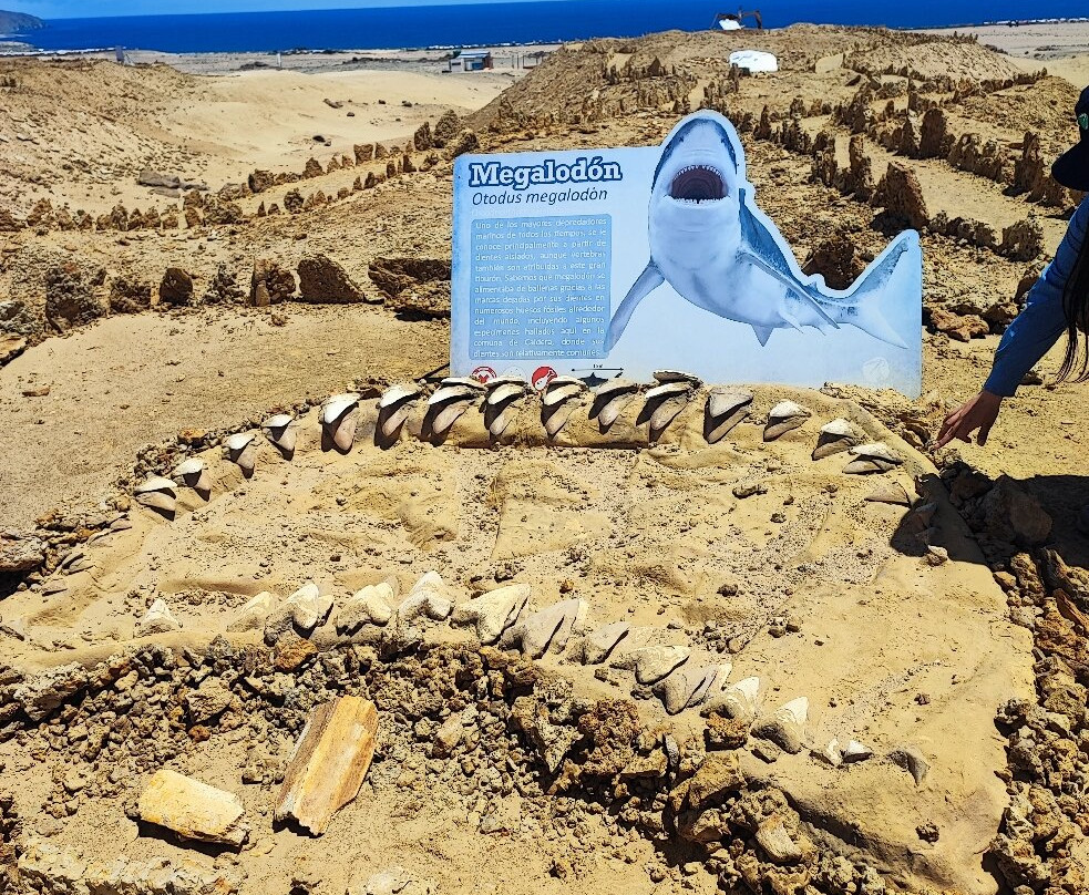 Parque Paleontologico De Caldera-Caldera必去景点