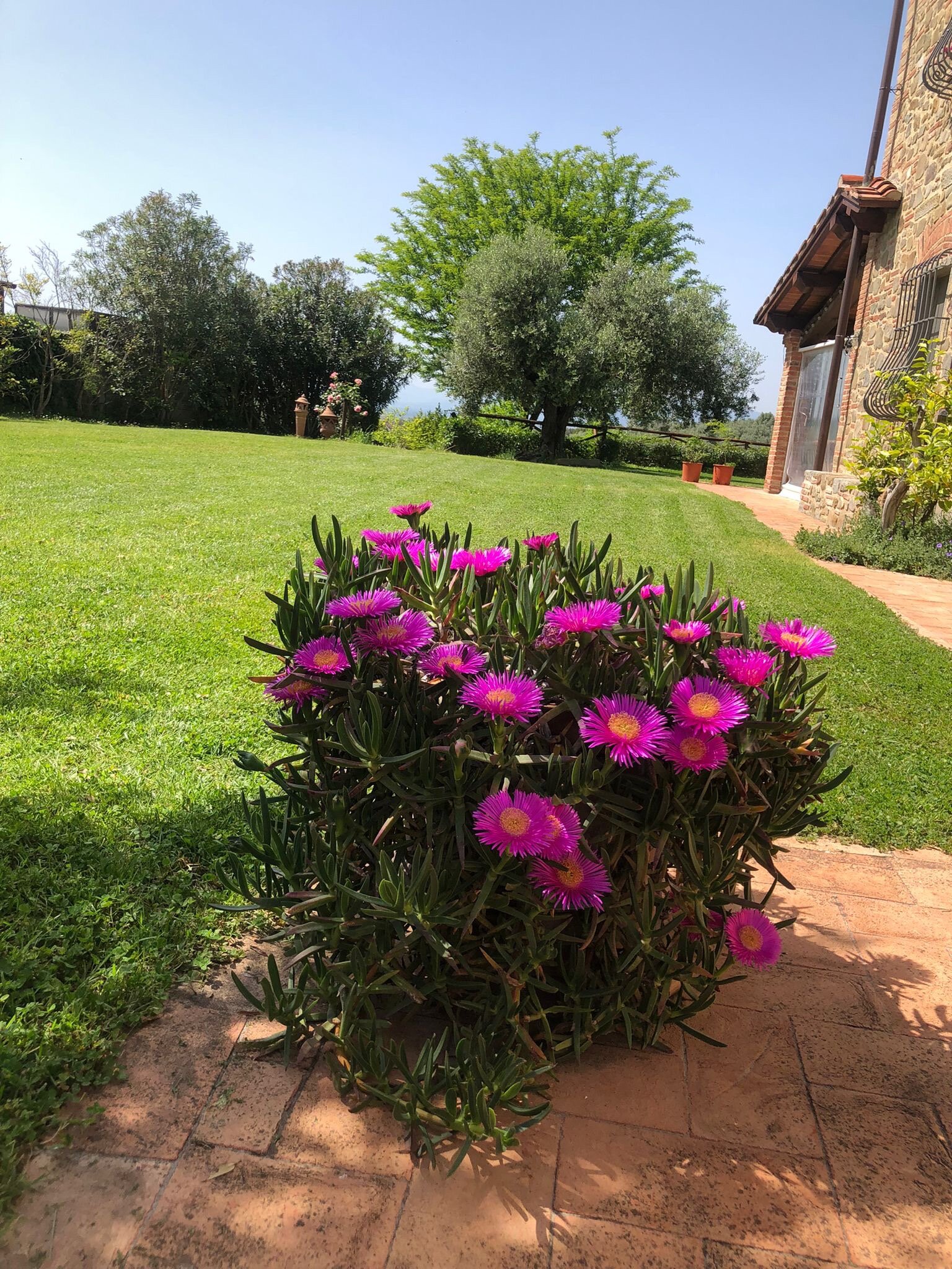 La Casa Medioevale-官方