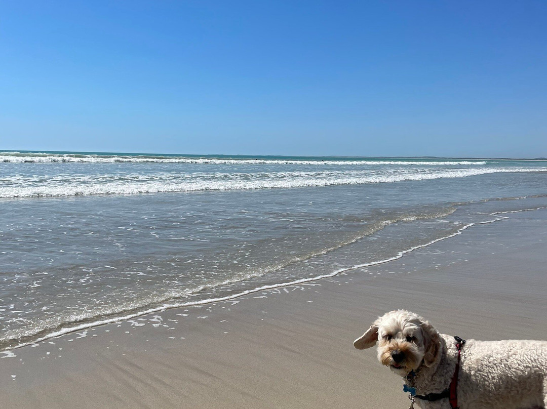Long Beach-罗布必去景点