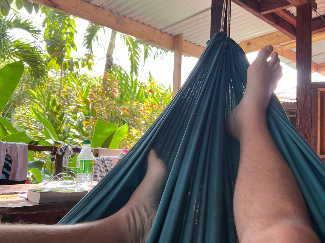 Hibiscus Valley Inn主图