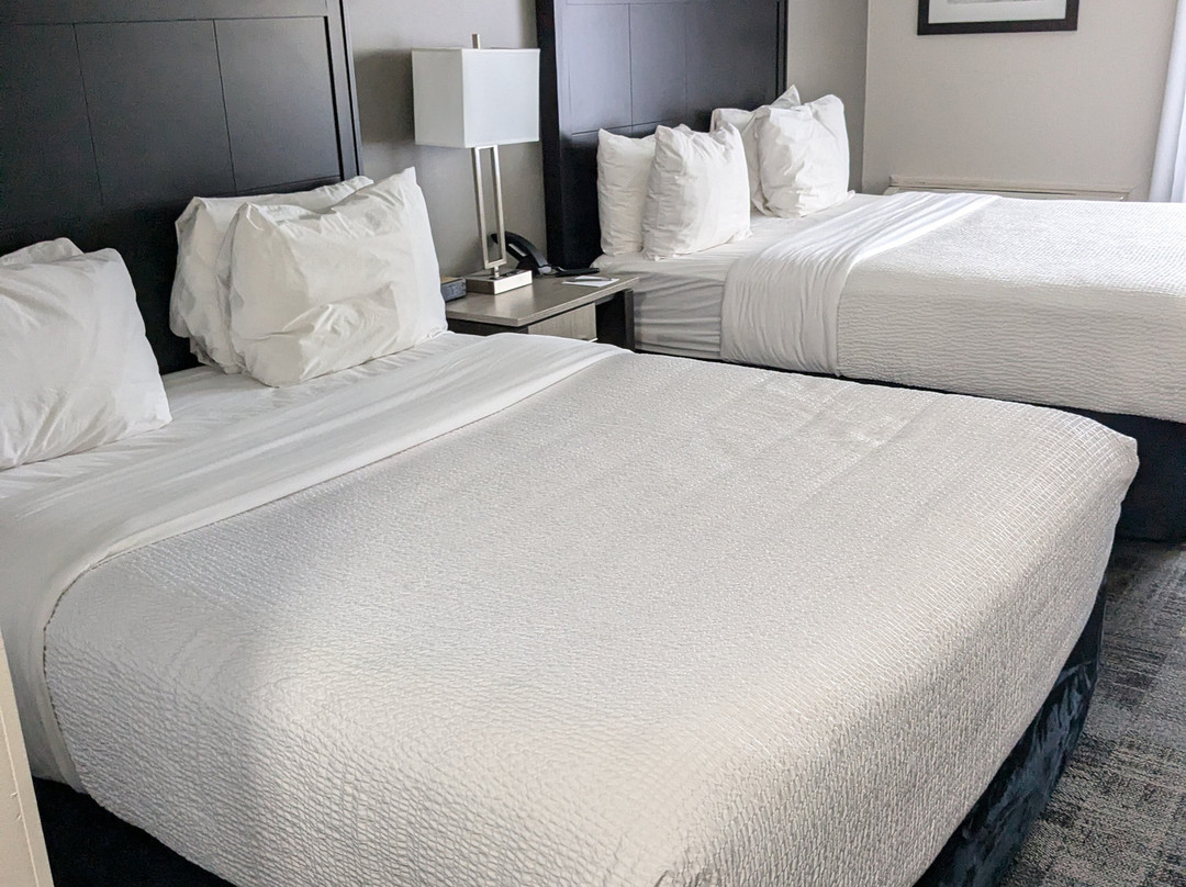 Chateau Bedford, Trademark Collection by Wyndham主图