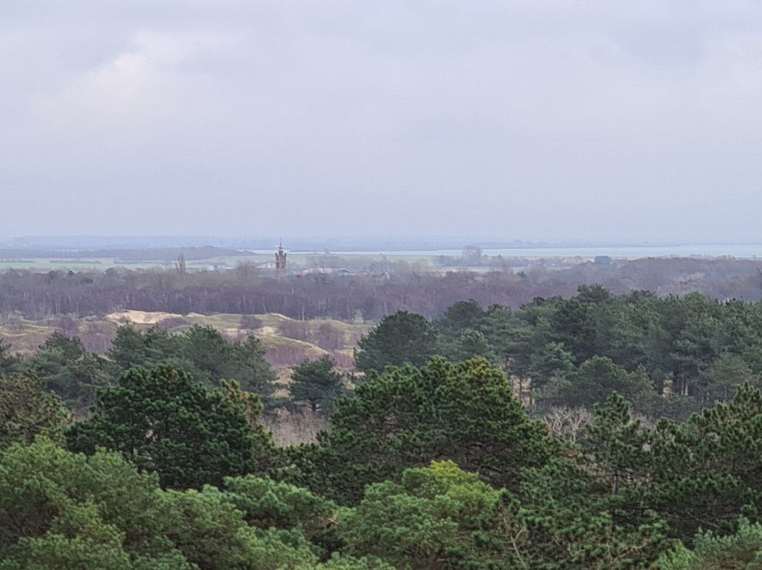 Boswachterij Westerschouwen景点图片