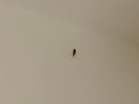 Hotel Kuenstleralm主图