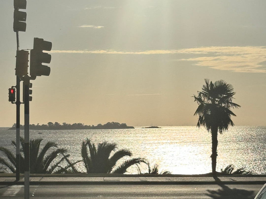 Real Colonia Hotel & Suites主图