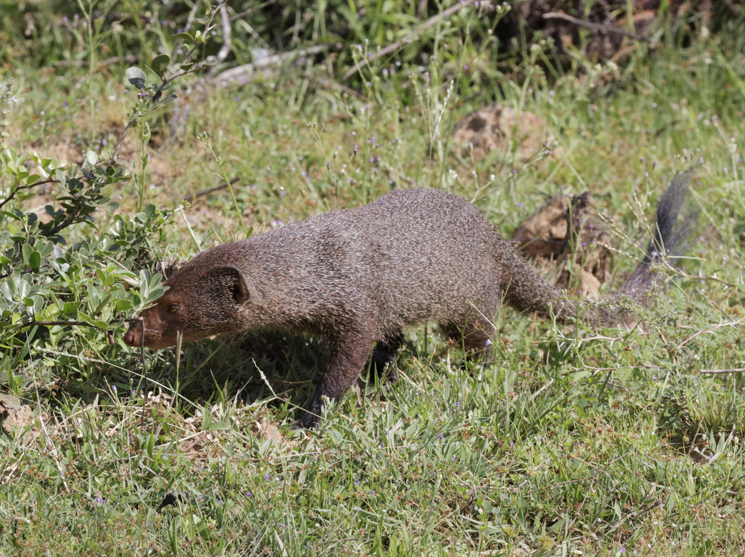 Eddy's Expeditions-加勒必去景点