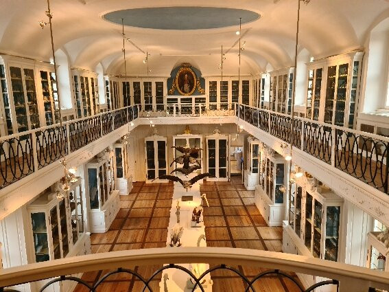 Naturkunde-Museum Bamberg