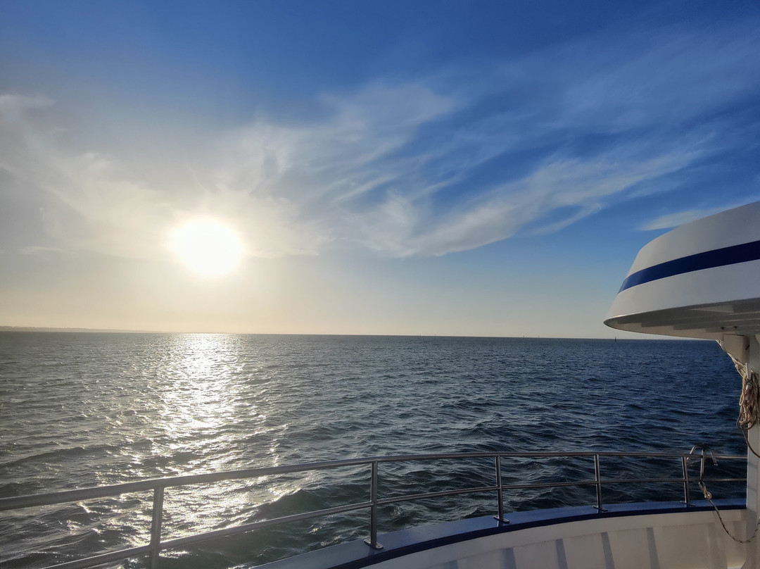 Portarlington Mussel Tours-Portarlington必去景点