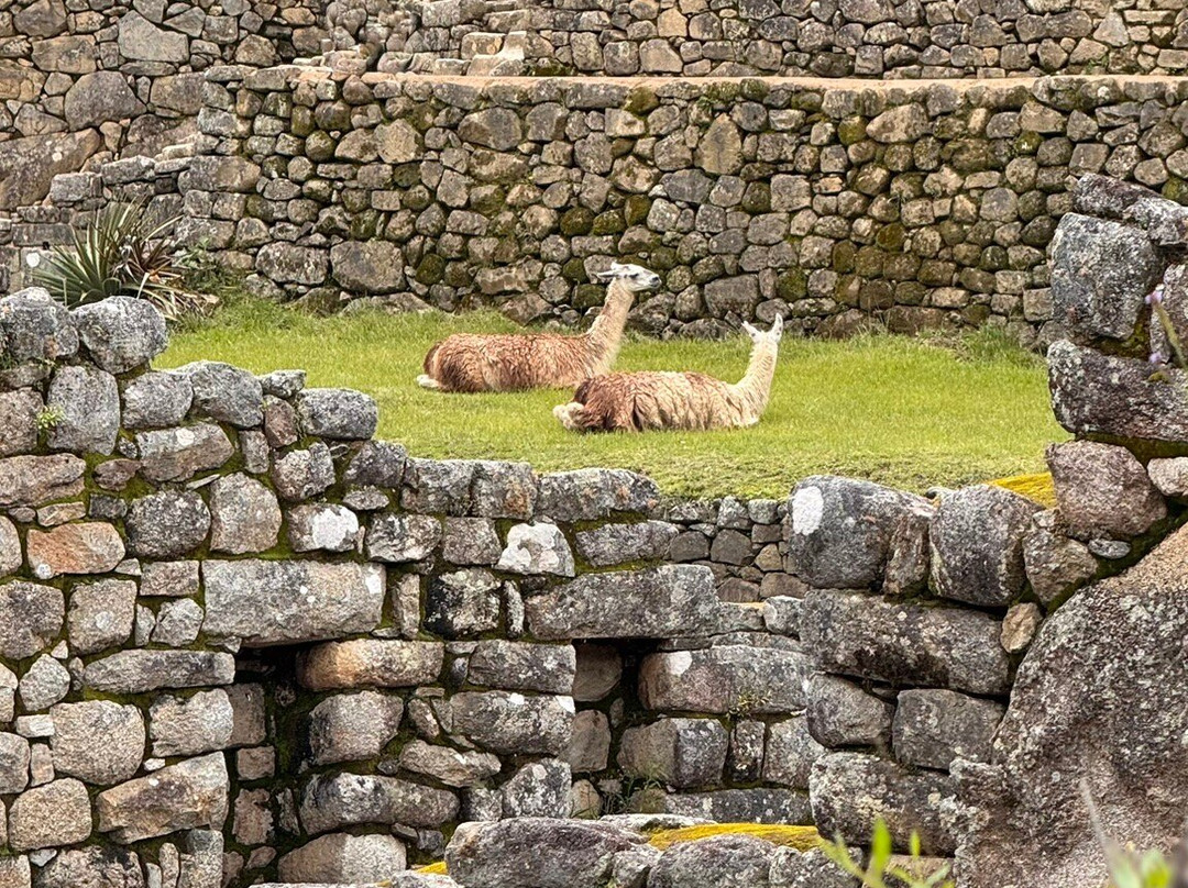 Yaku Travel Perú-库斯科必去景点