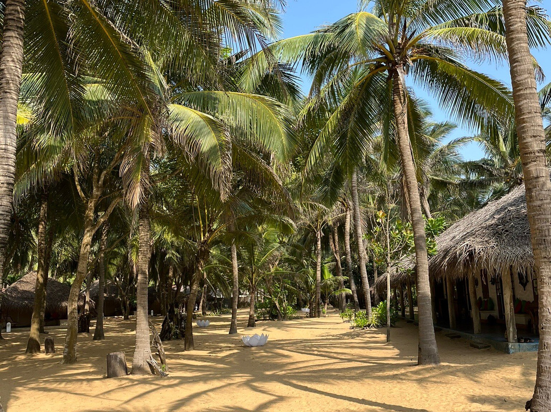 Dolphin Village主图