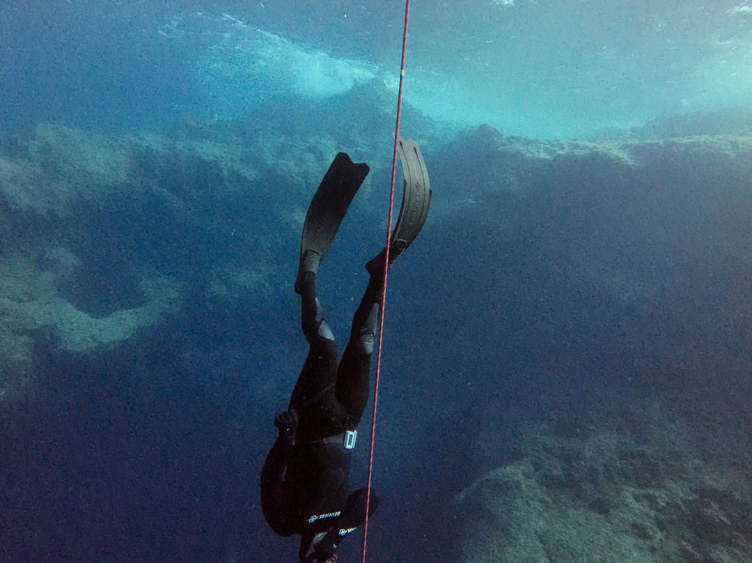 Apnea Total Malta - Freediving School-圣保罗湾城必去景点