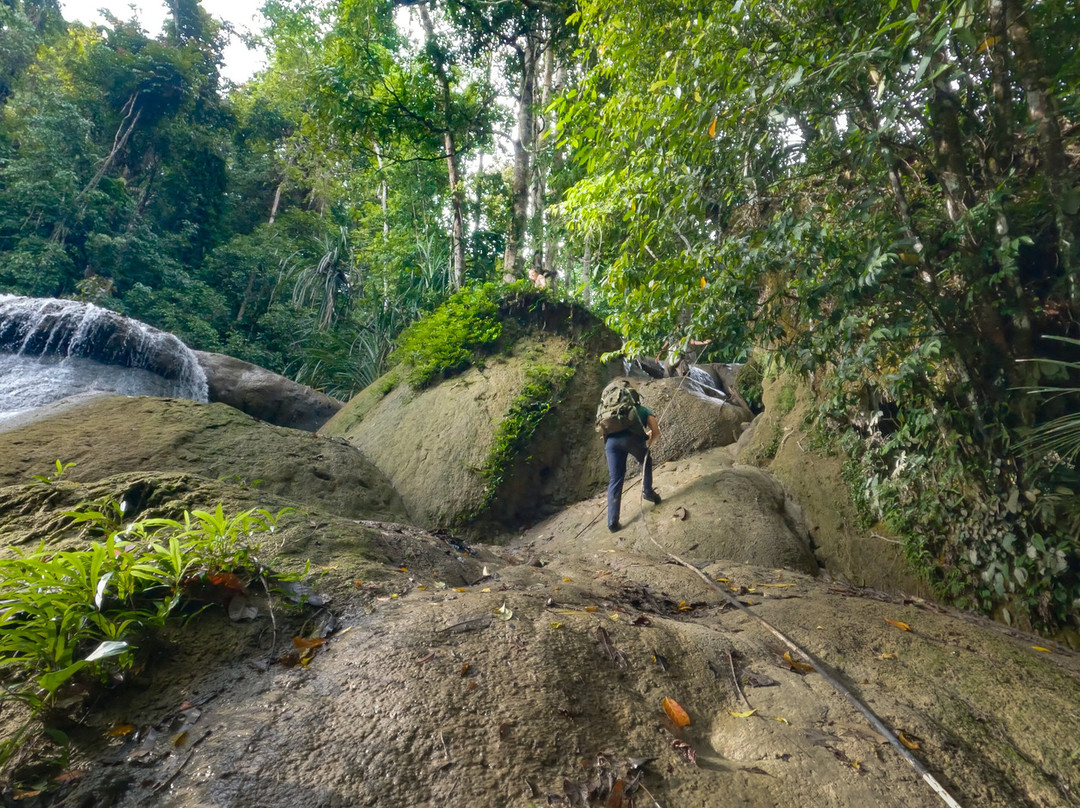 Sulawesi Eco Adventure景点图片
