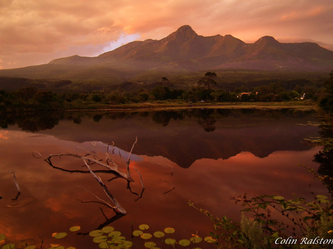 乔治旅游景点-Garden Route Botanical Garden