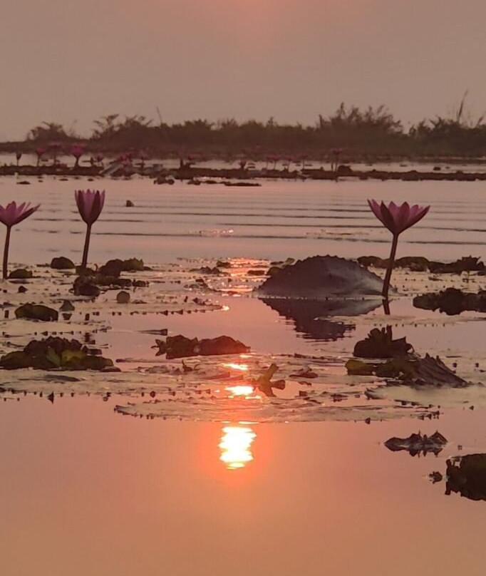 红莲湖景点图片