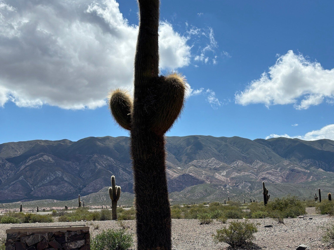 Parque Nacional Los Cardones-卡奇必去景点