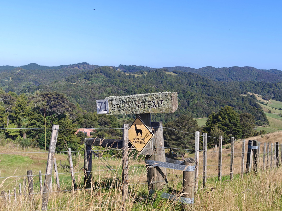Alpaca Farm Experience景点图片