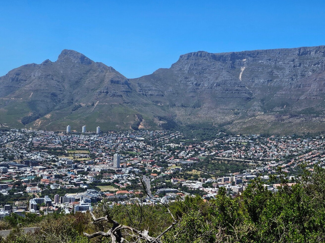 Dreamcoast Tours & Transfers-开普敦必去景点