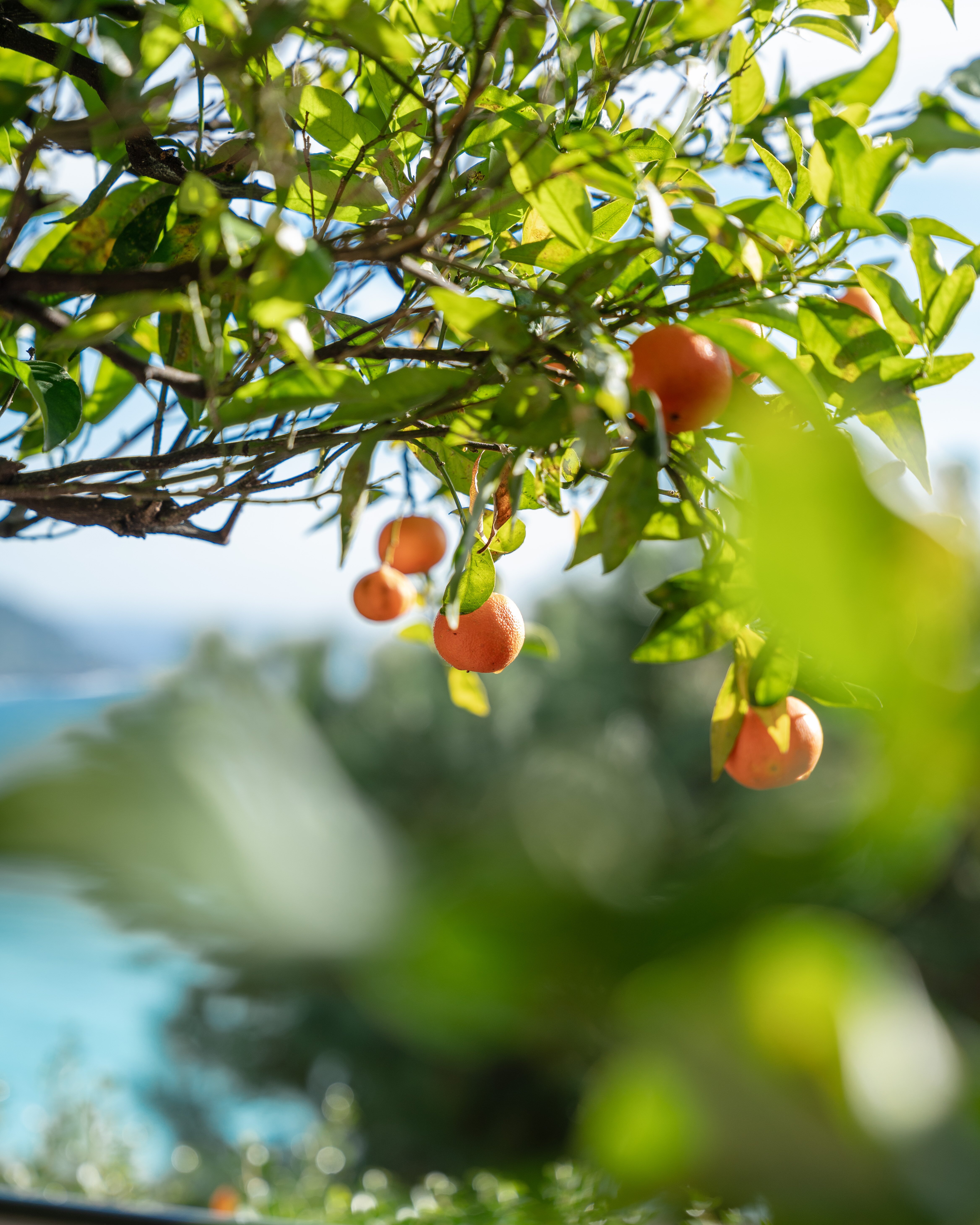 罗克博鲁尔酒店-浴室
