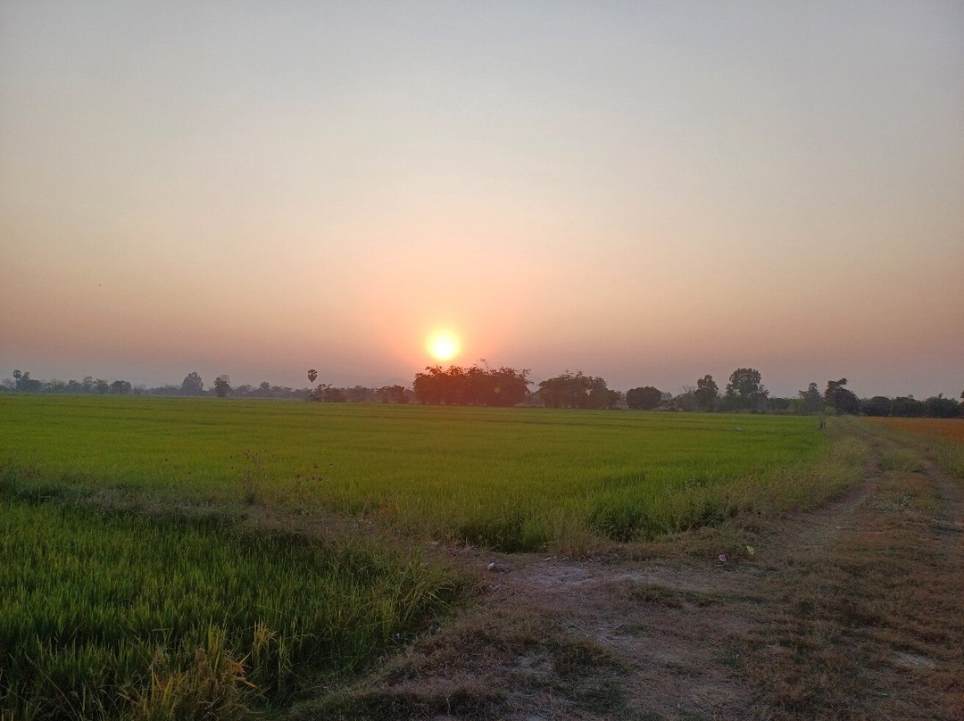 Sukhothai Bicycle Tour景点图片