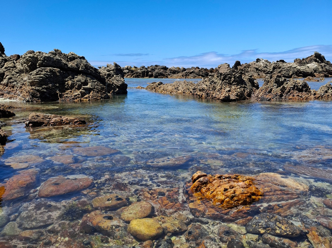 The Restio Country Guesthouse主图