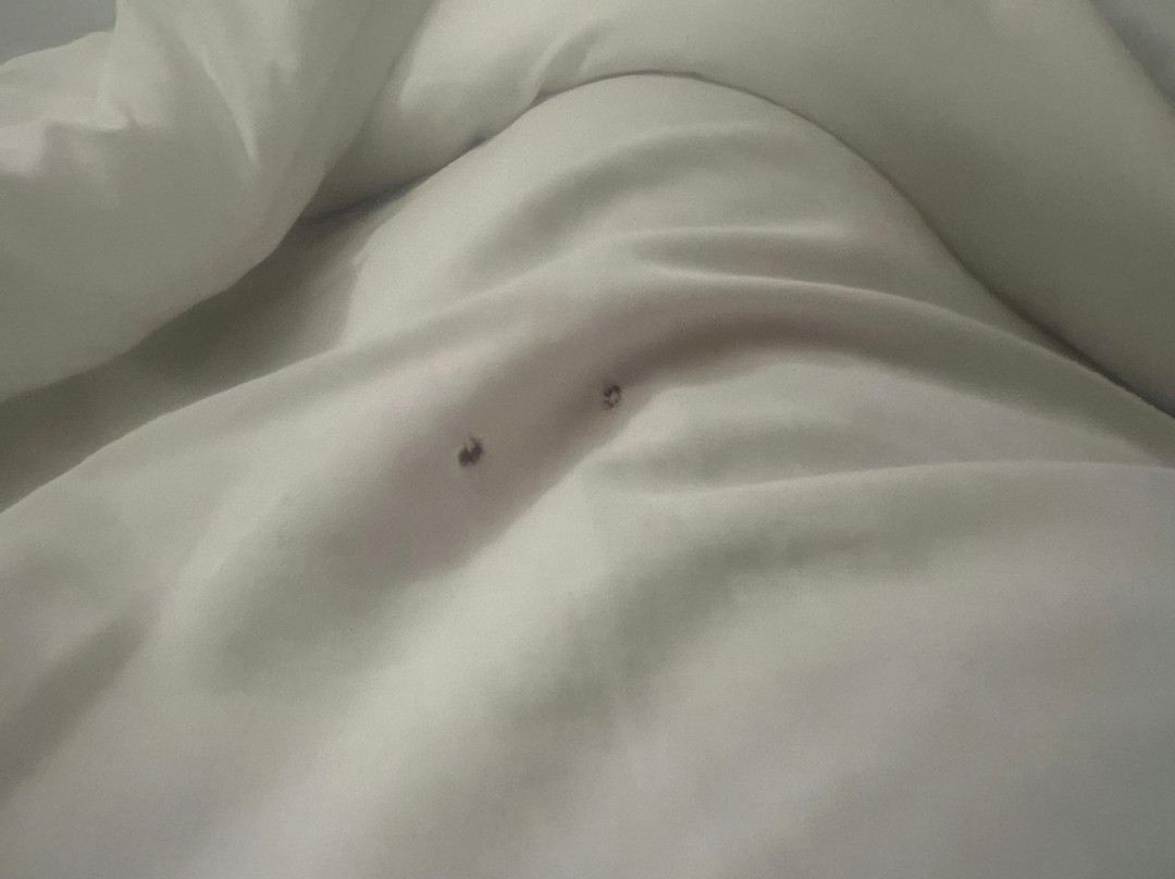 格兰钯汉密尔顿夫人全包度假村及Spa中心主图