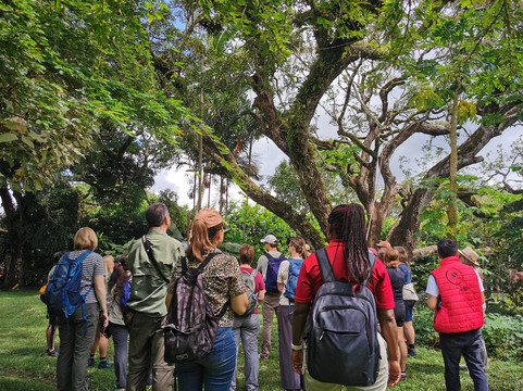 Coquira Soil Project-Chepo必去景点