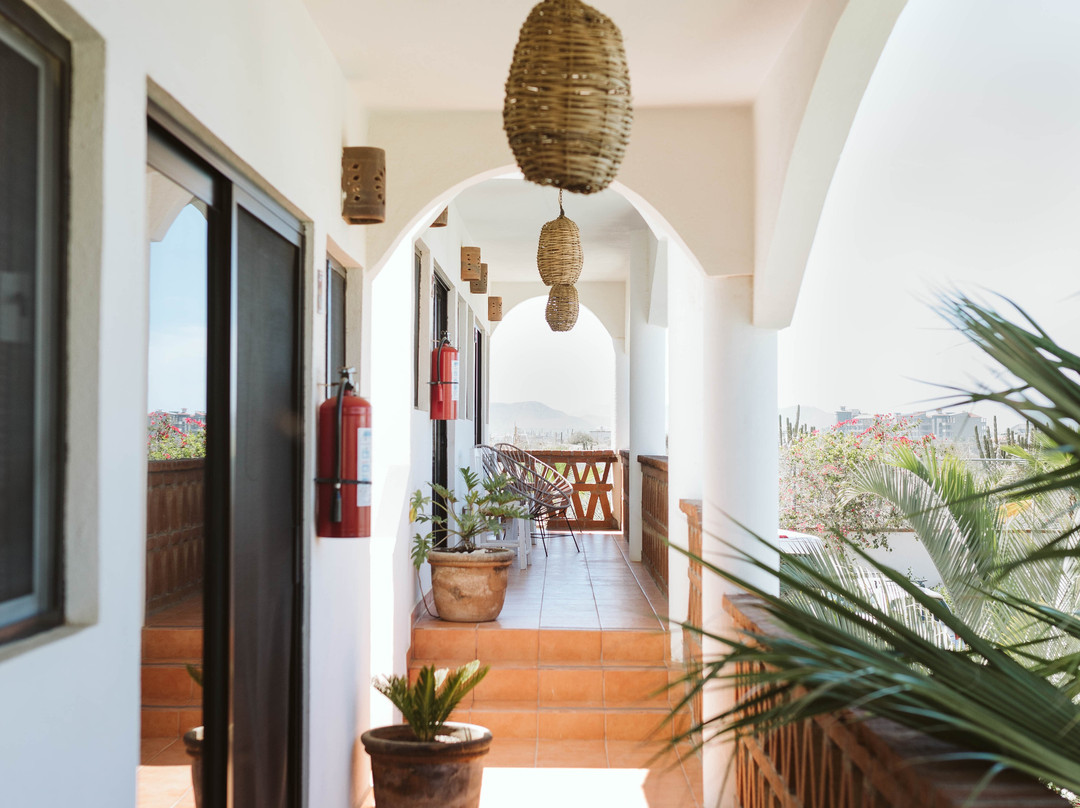 Olas De Cerritos主图