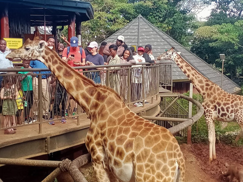 naicef-内罗毕必去景点