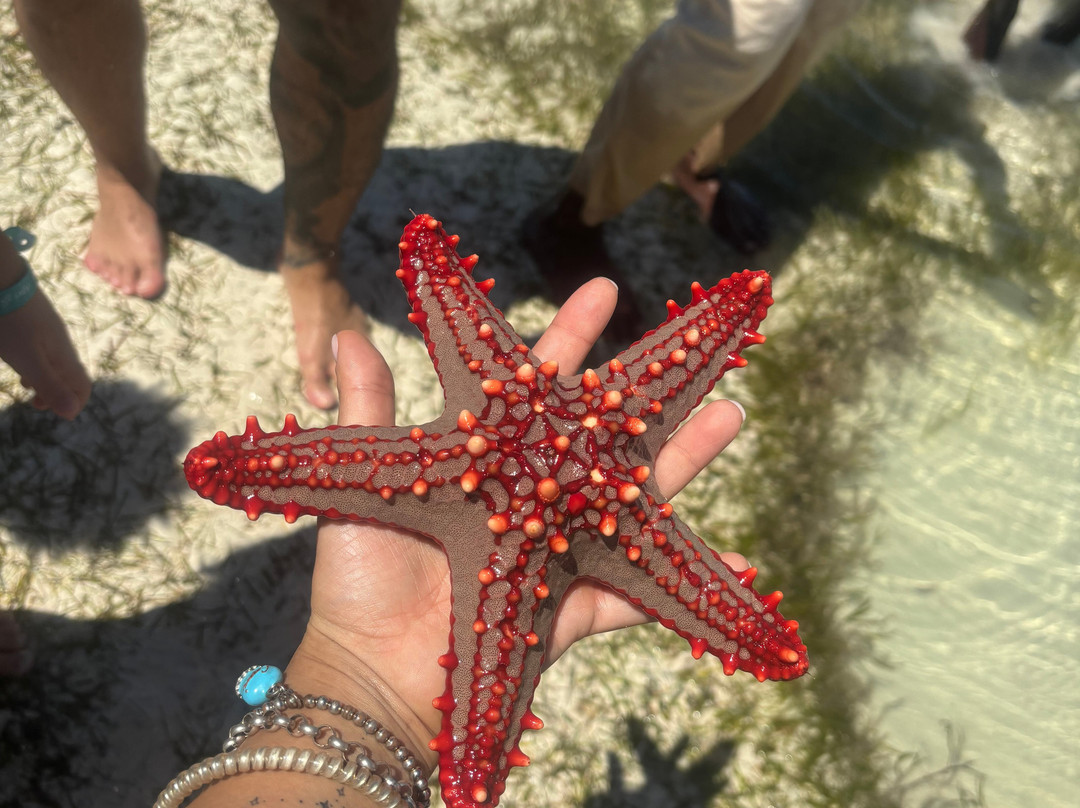 Lutu tours & Safari-瓦塔木必去景点