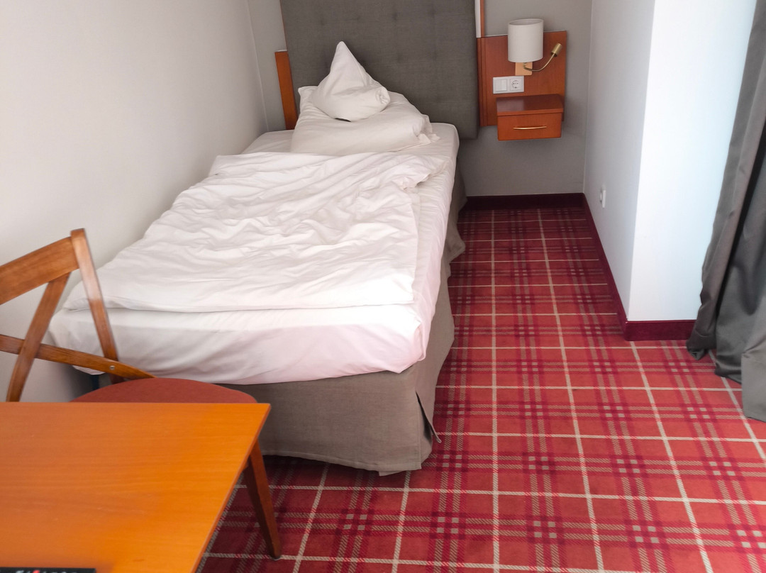 Hotel Drei Birken主图