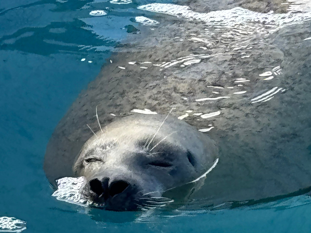 SEA LIFE Hunstanton景点图片