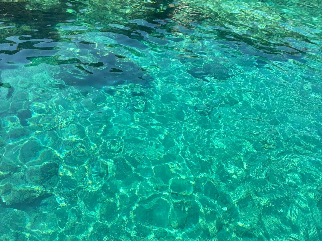 Rofos Boat Tours-Aliki必去景点