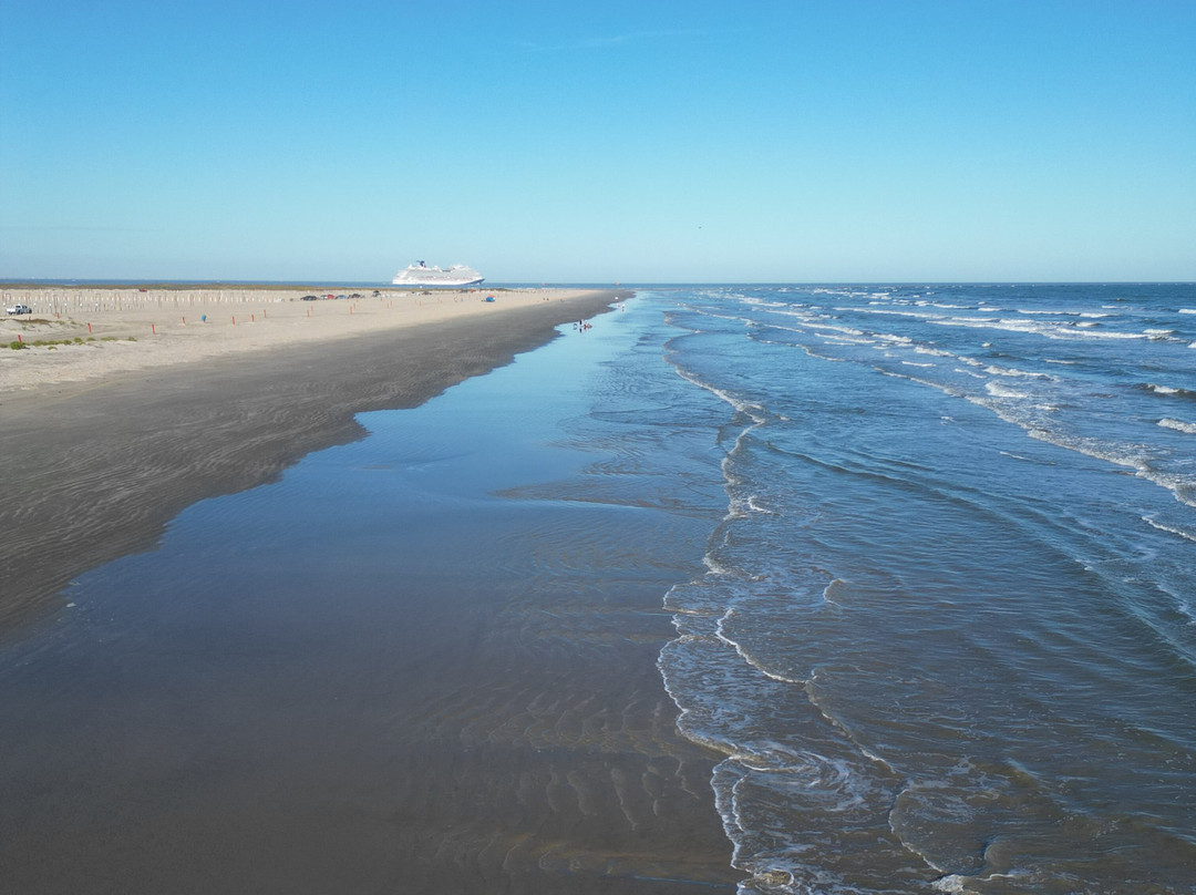 East Beach景点图片