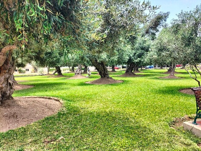 Parque de la Amistad-利马必去景点