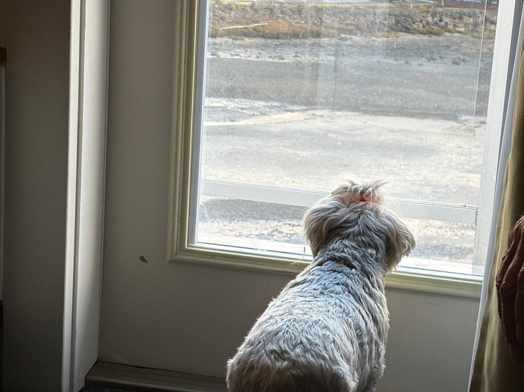 Oxford Suites Silverdale主图