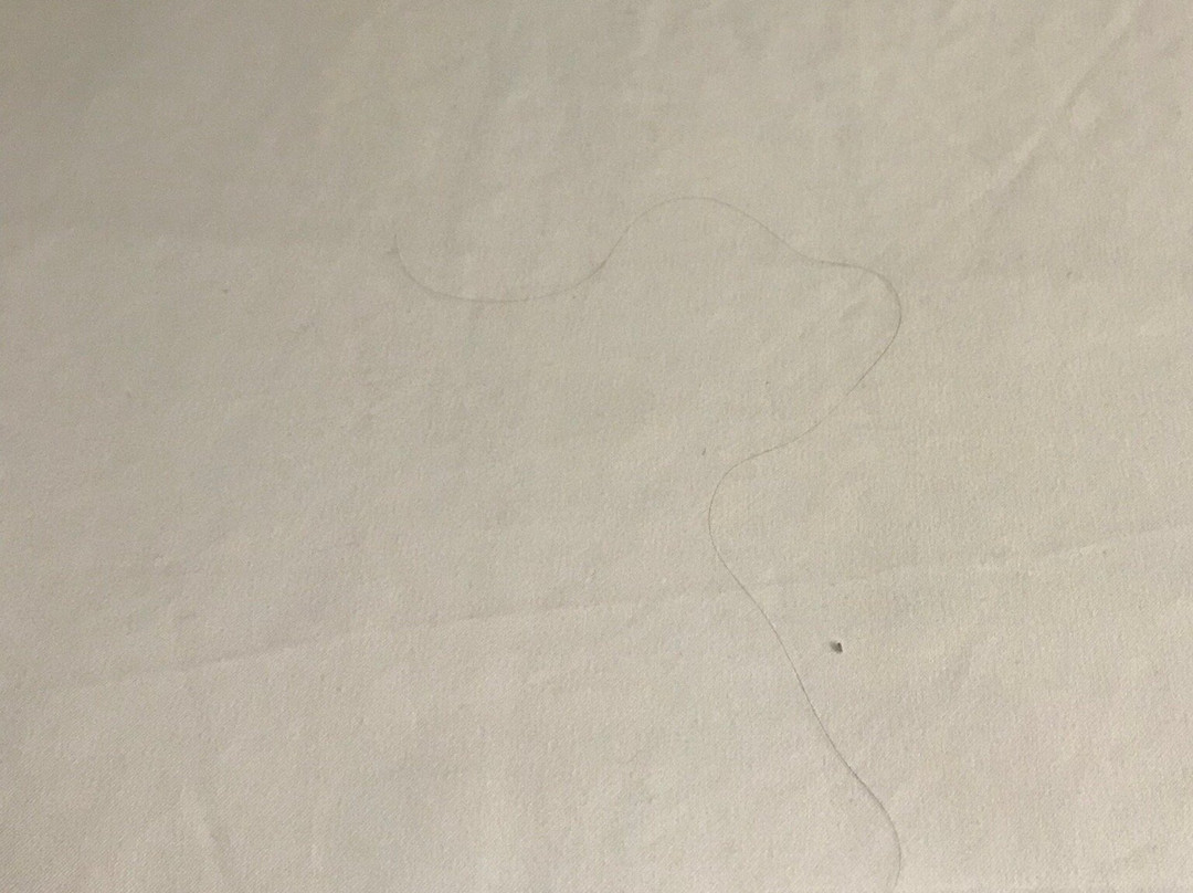 La Quinta Inn & Suites by Wyndham NE Long Beach/Cypress主图