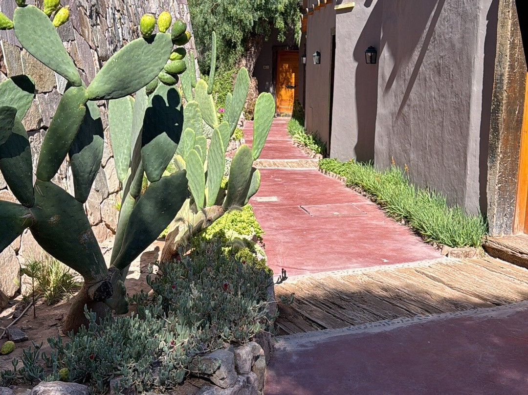 Las Terrazas Hotel Boutique主图