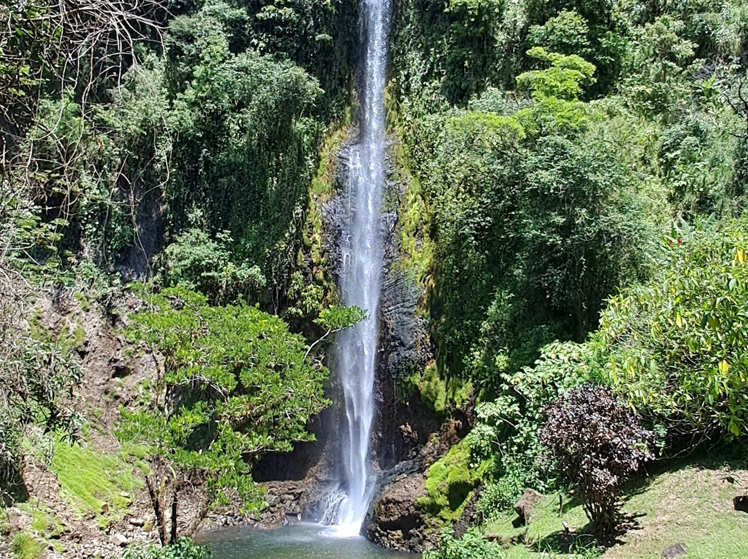 Viento Fresco Waterfall景点图片
