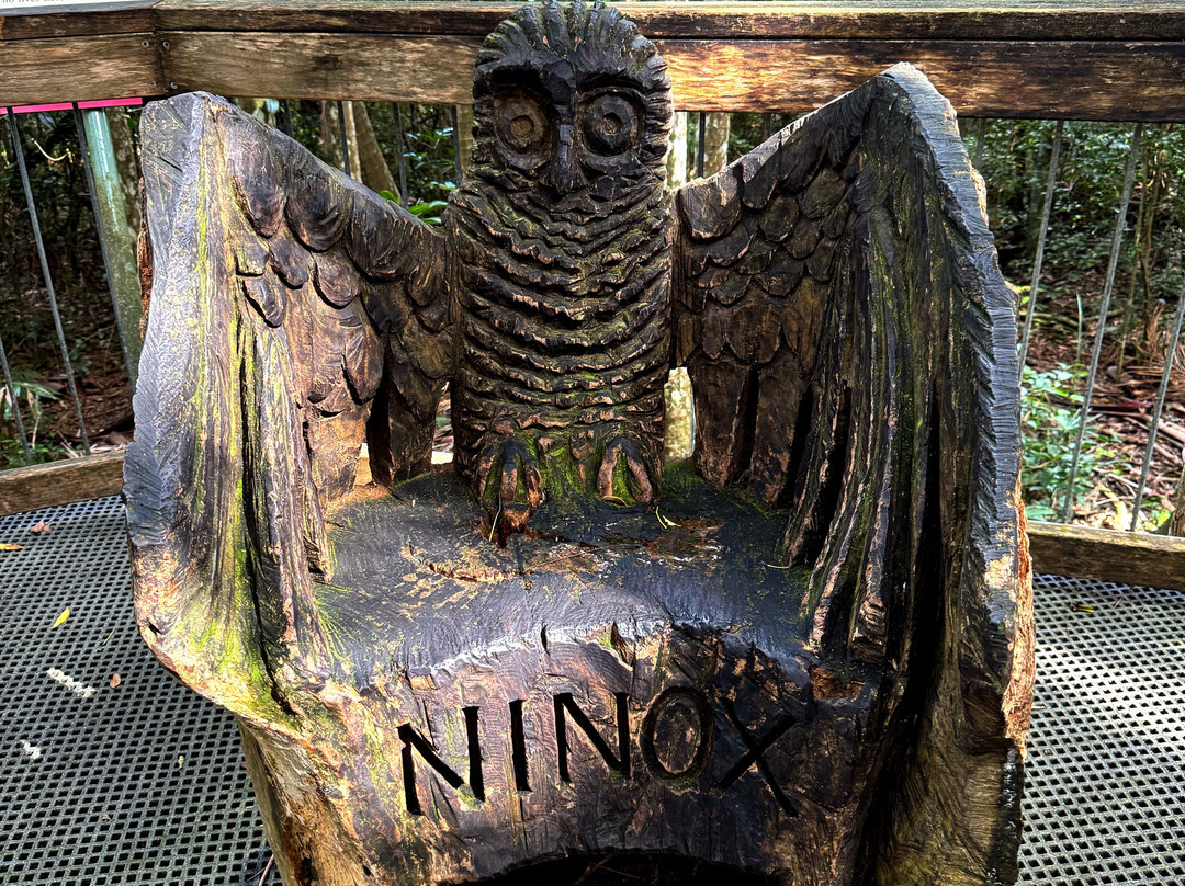 Sea Acres Rainforest Centre Port Macquarie-麦克夸利港必去景点