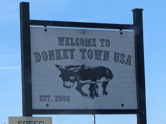 Peaceful Valley Donkey Rescue-圣安吉洛必去景点